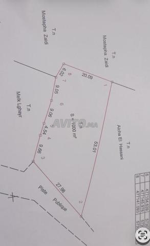 Terrain à vendre titre foncier 1000m² - 2