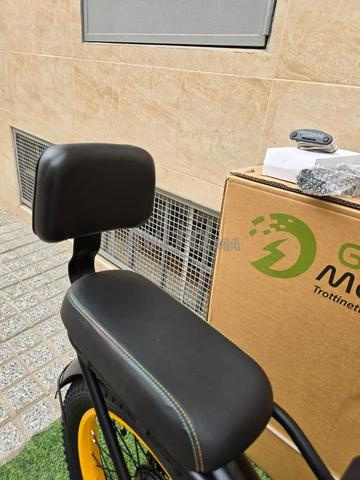 Vélo électrique Green moveway E12 - 2