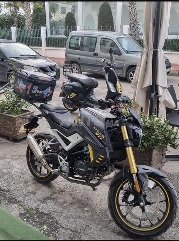 Moto en cuivre - 2