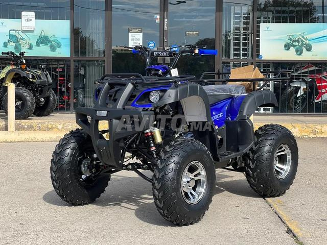 Quad Cougar 200 UT Full Size ATV Automatique - 2