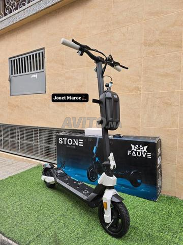 TROTTINETTE ÉLECTRIQUE ECOXTREM STONE G1