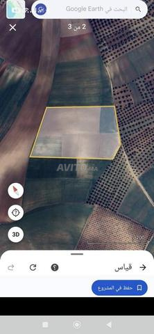 4 hectares de terrain à vendre - 2