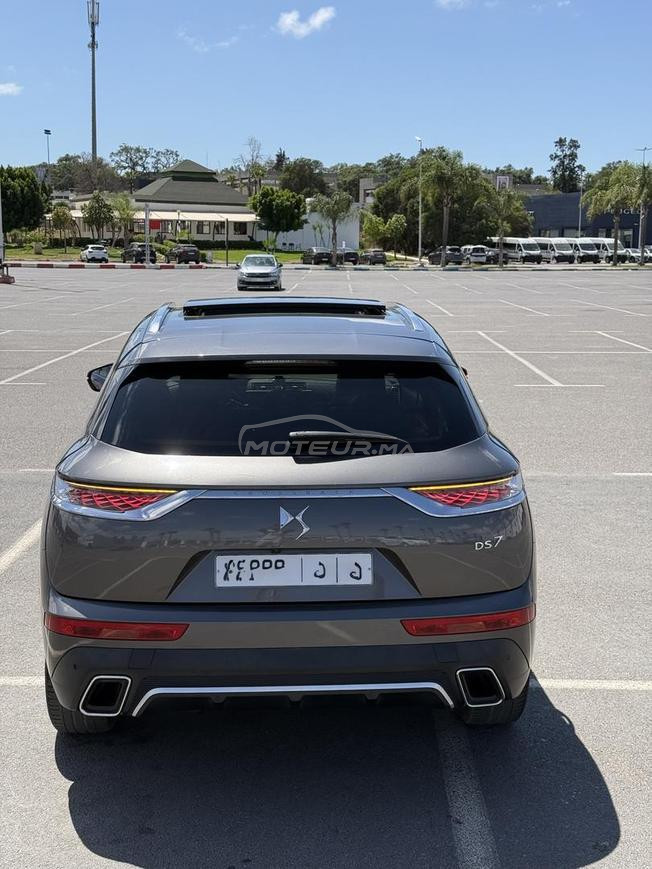 ds7 rivoli 2021