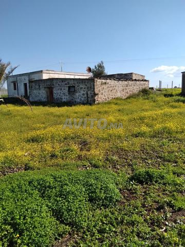 مزرعة بمساحة 1730 م2 جنوب الصخيرات - 2