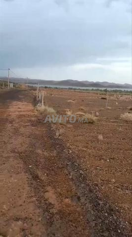 أرض فلاحية للبيع - 2