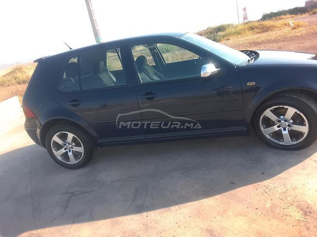 golf 4  zibra