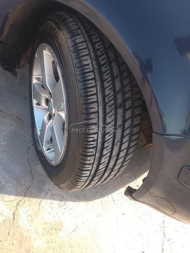 golf 4  zibra
