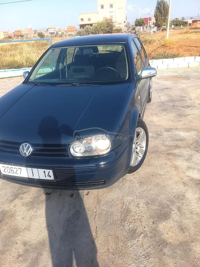 golf 4  zibra