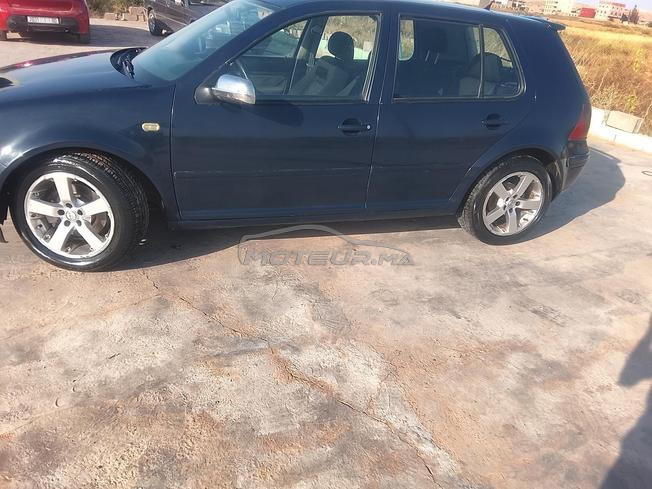 golf 4  zibra