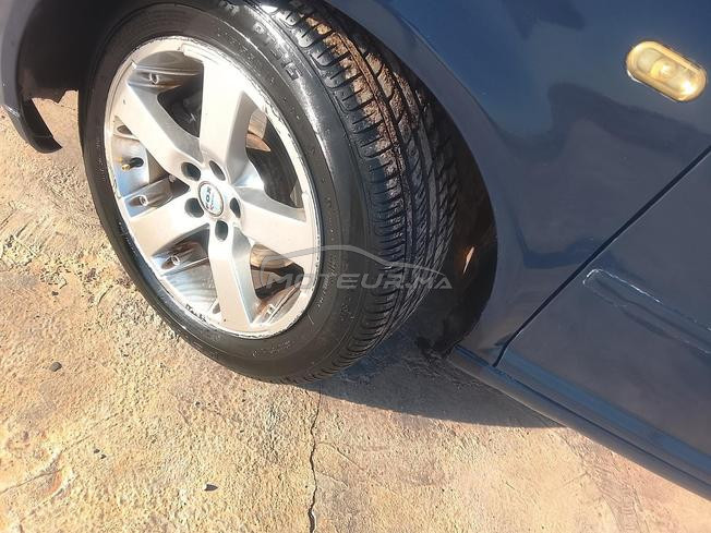 golf 4  zibra