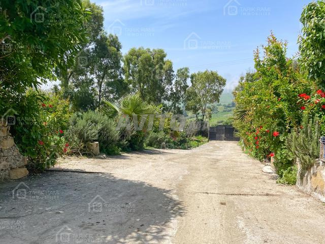 Ferme de 12700m² avec 3 maisons à vendre à Assilah - 2