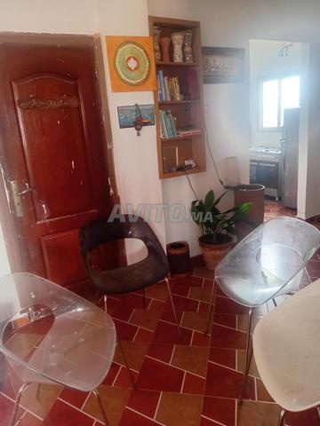 4 كراسي Gliss 921 PEDRALI مستوردة من إيطاليا