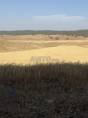 16 hectares à vendre - 2