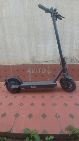 Salut je vends une trottinette - 2