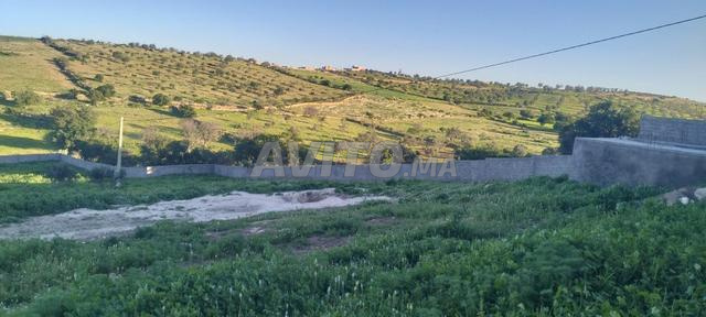 ضيعة بحد الدرا قريبة من المركز بكيلومتر عن الطريق