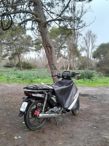 Moto 33, 49cc - 2