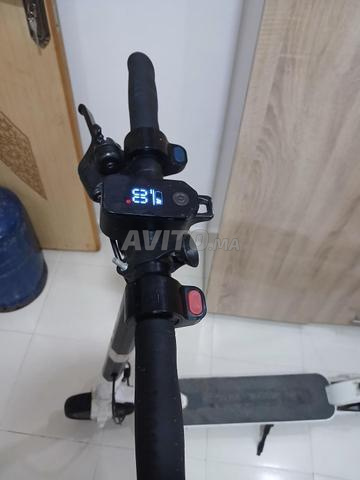 0665743174 - 2