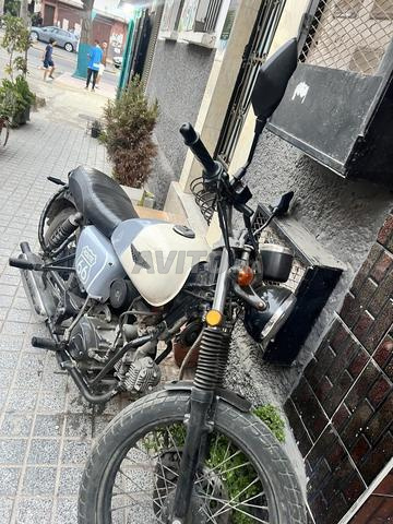 À vendre moto Phoenix modèle 2024 makina 49cc - 2