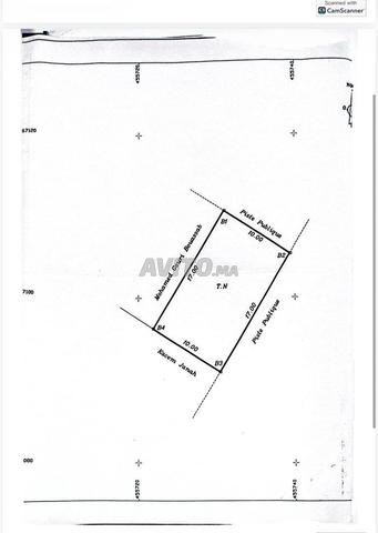 Terrain - 2
