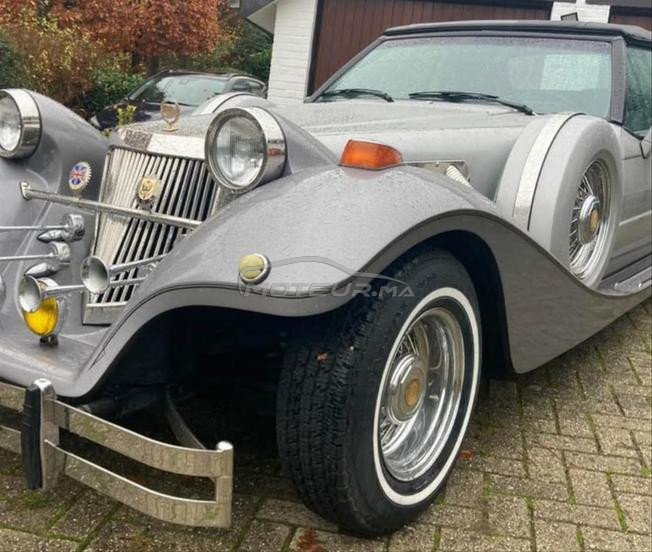 excalibur Ancêtre a vendre en excellent état 