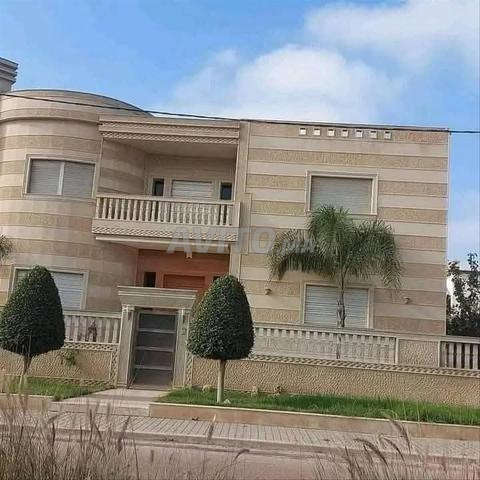 بيع وتركيب جميع أنواع الحجر والديكور
