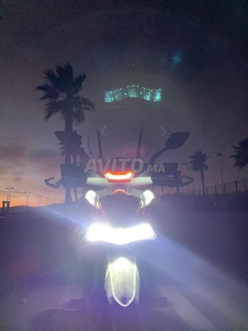 sh Daytona - 2
