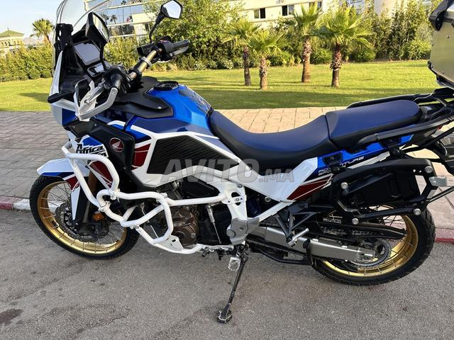 هوندا CRF1100 أفريكا توين أدفنتشر سبورتس 2022