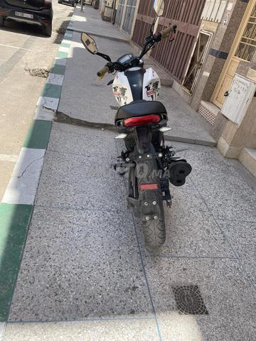 بكر ستار جديدة موديل 2024 - 2