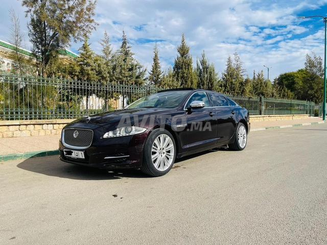 Jaguar XJ Diesel Automatique 2012 à Rabat - 2