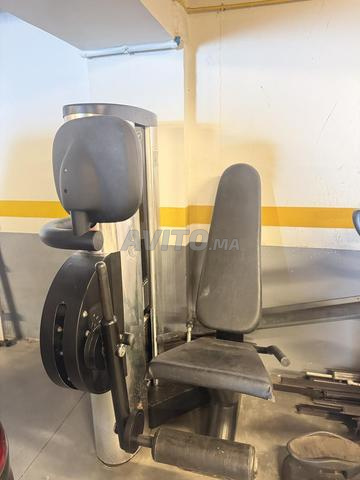 LEG EXTENTION PRO OXIDE - 2