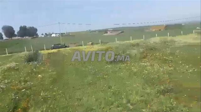 أراضٍ محفَّظة وفيلات بسيدي رحال - 2