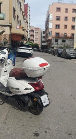 Cappuccino S - 2