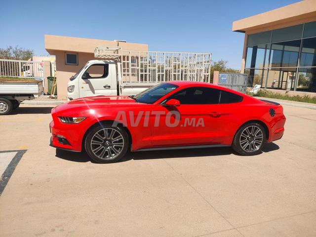 موستانج إيكوبوست بمظهر فريد وسعر جذاب