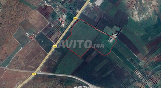 5 hectares titrés avec 200 m de façade sur route