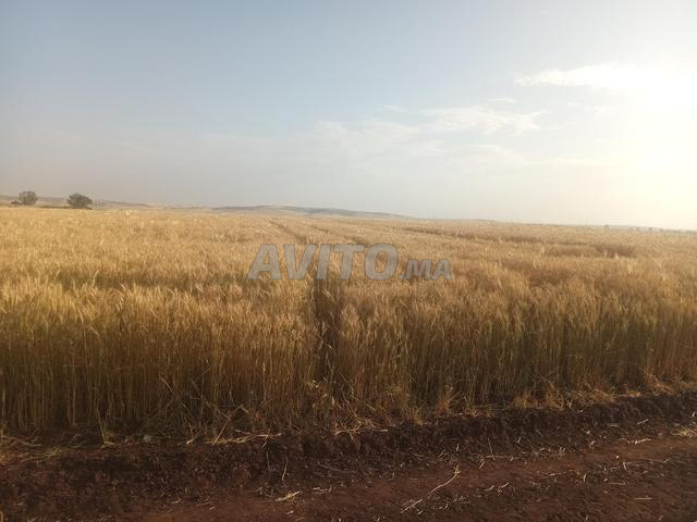 الدار البيضاء - 2