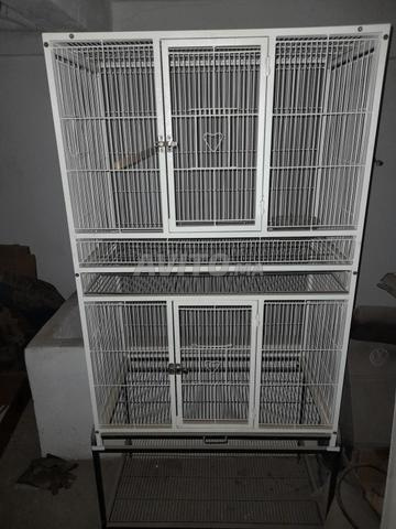Grande cage à oiseaux de bonne qualité à vendre.