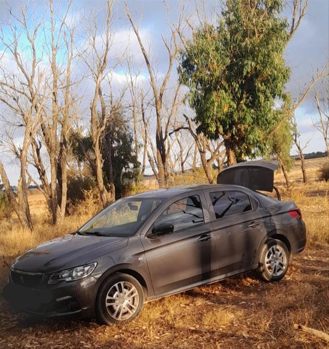 peugeot 301