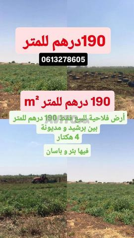 Terrain agricole à vendre entre Berrechid et Deroua 190 Dh