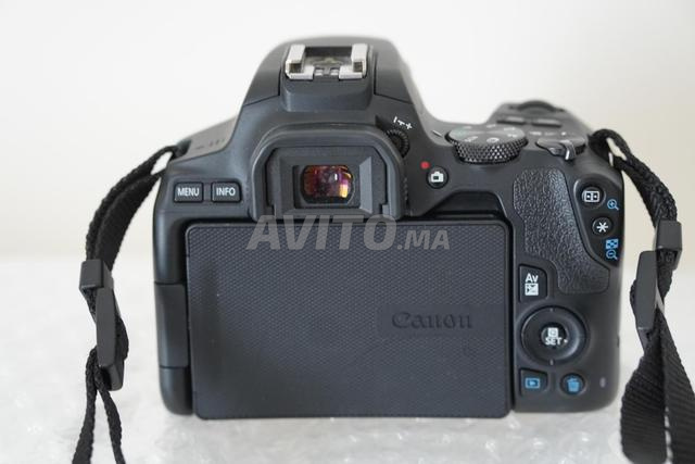 كانون 250D مع عدسة 50 مم f1.8 STM