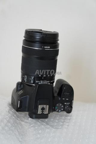 Canon 250D avec objectif 18 135 STM - 2