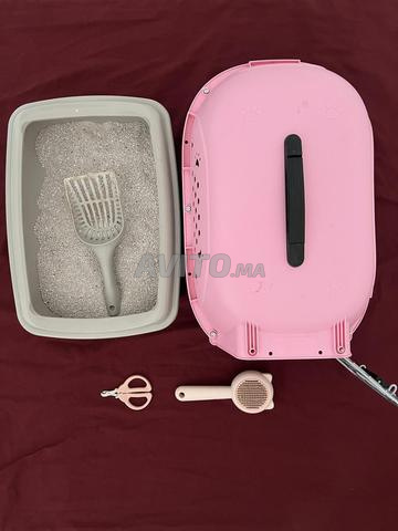 Chaton Angora turc femelle avec accessoires - 2