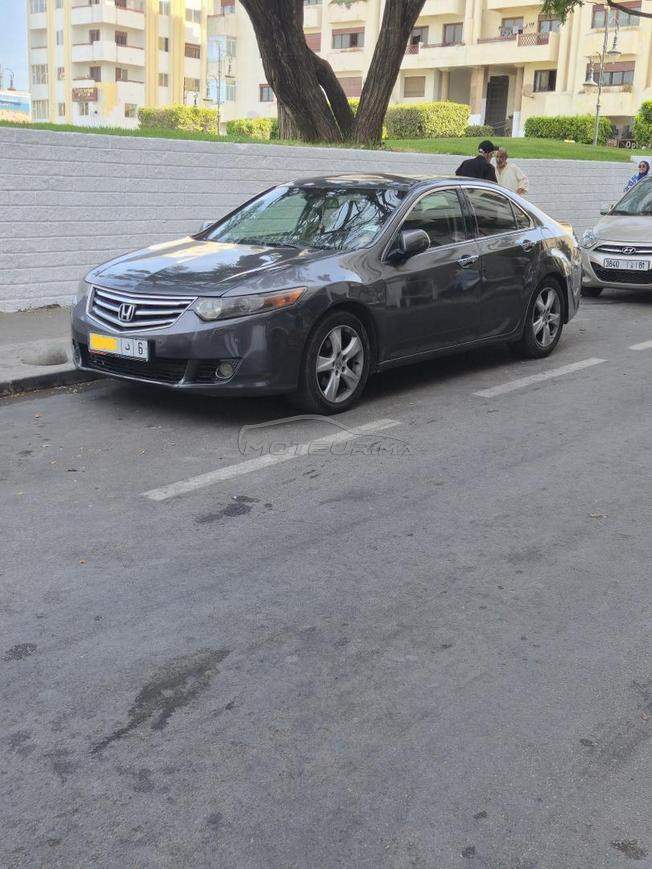 HONDA ACCORD PLATINIUM