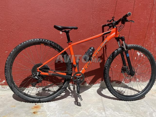 VTT 29 || Cannondale Ducati Corse Trail - 2