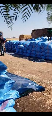 بيع قش وأكياس قمح بالجملة - 2