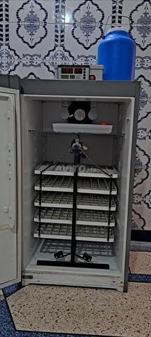 Incubateur automatique neuf - 2