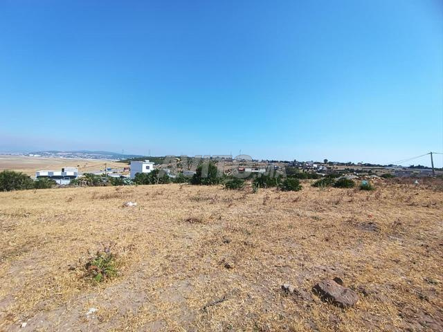 Terrain à vendre à Haouara – Emplacement stratégique - 2