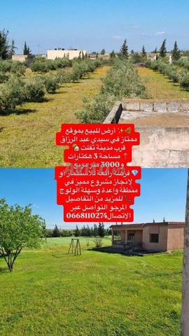 مزرعة للبيع تيفلت