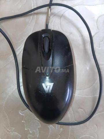 فأرة USB من العلامة التجارية V7 - 2