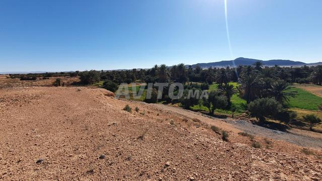 Terrain agricole - 2