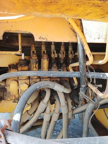 Caterpillar - 2